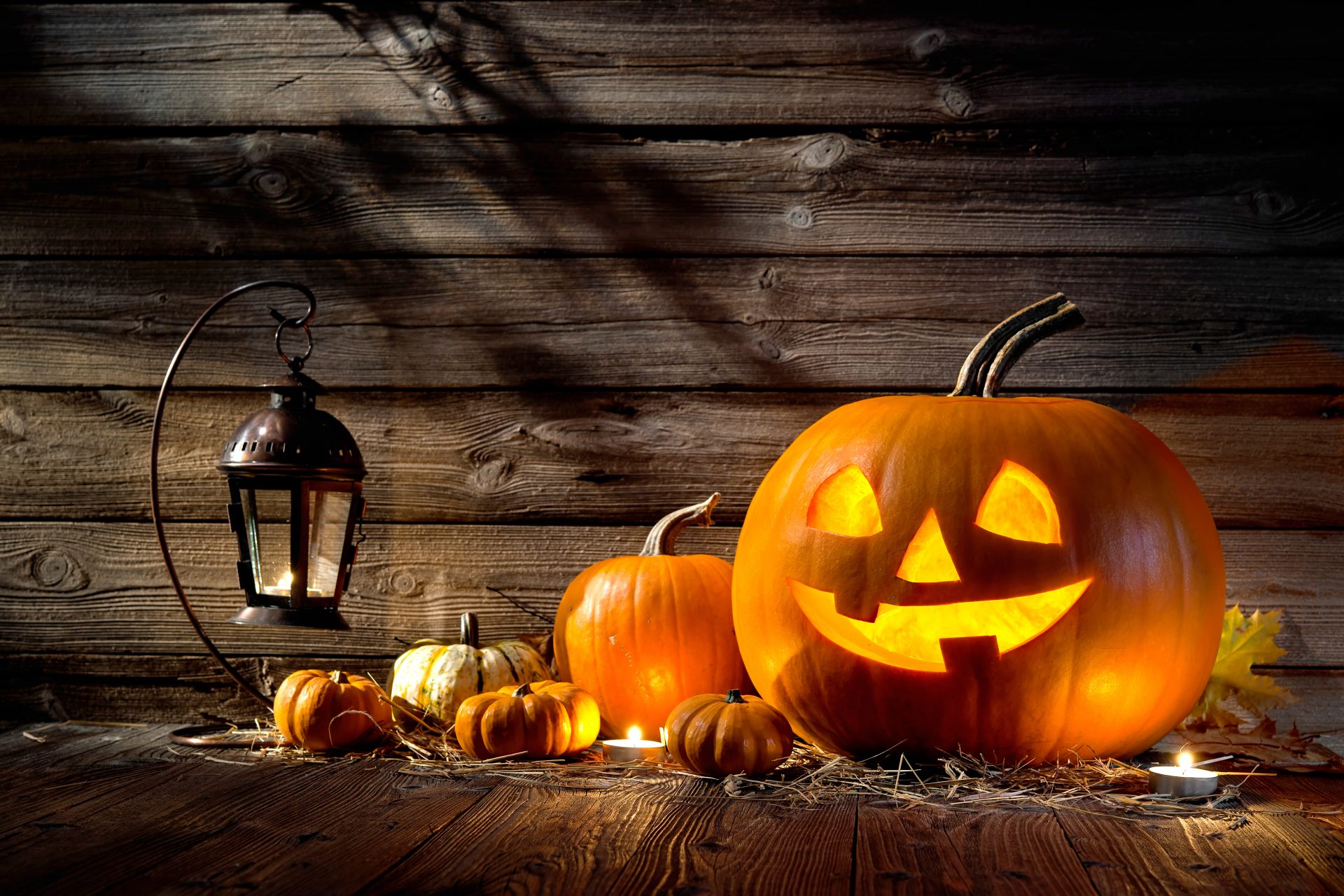 The Best Halloween Marketing Campaigns Brace Creative Agency
